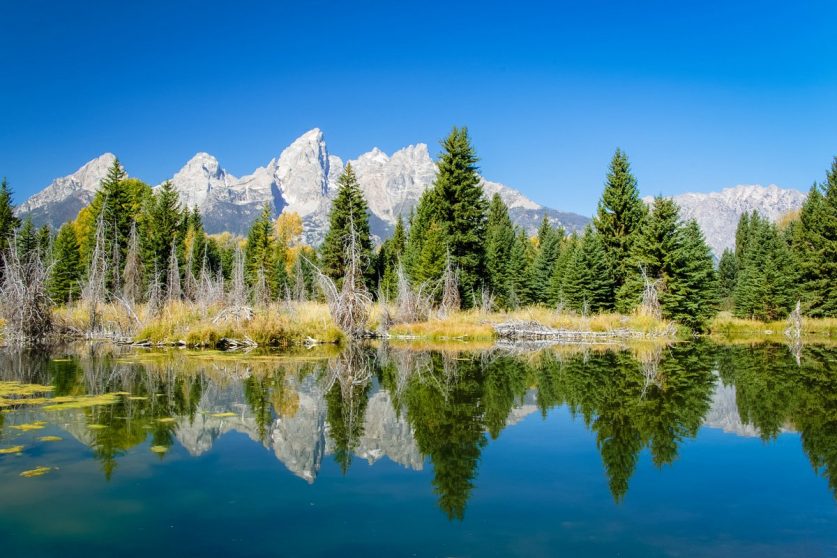 Grand Teton National Park