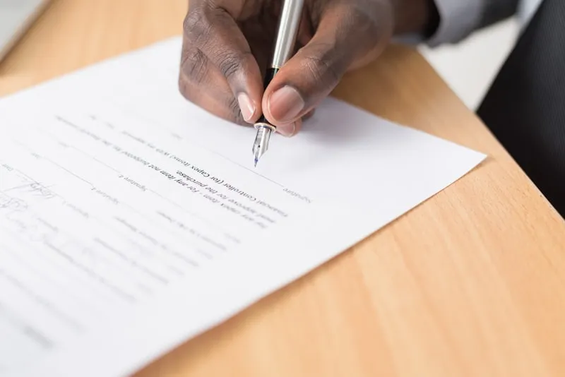 litigation lawyer