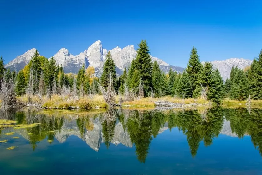 Grand Teton National Park